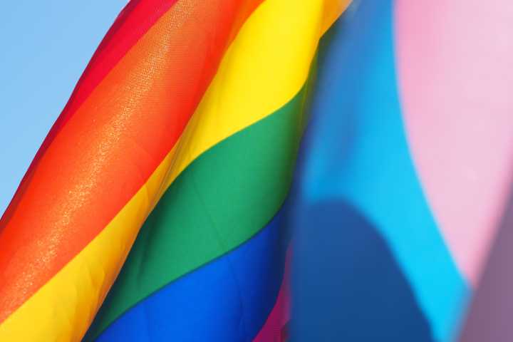 Homofobia Chechenia