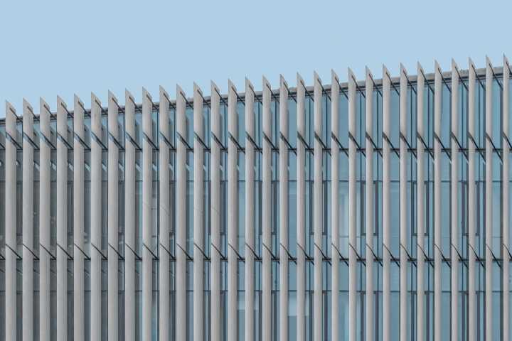 Vigilancia y Democracia