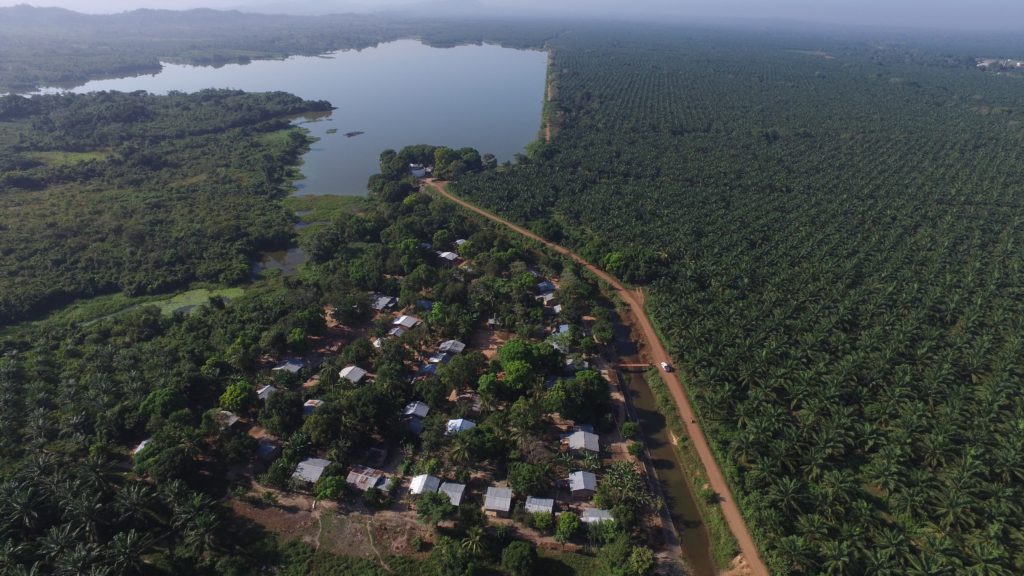 IrinaJunieles_Columna_Suprema