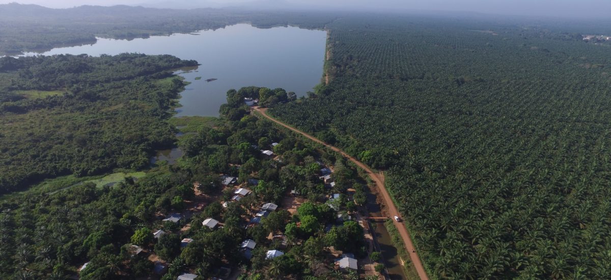 IrinaJunieles_Columna_Suprema