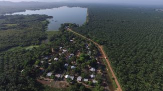 IrinaJunieles_Columna_Suprema