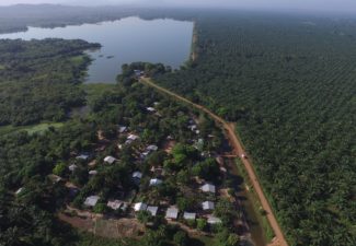 IrinaJunieles_Columna_Suprema