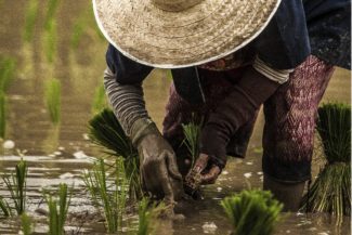 VR_Columna_Desmovilizados