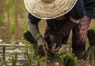 VR_Columna_Desmovilizados