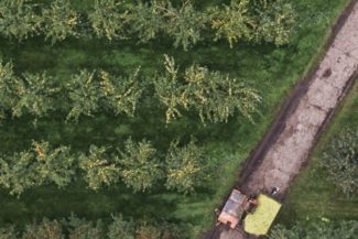 LRB_Columna_Política de Drogas