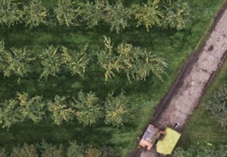 LRB_Columna_Política de Drogas