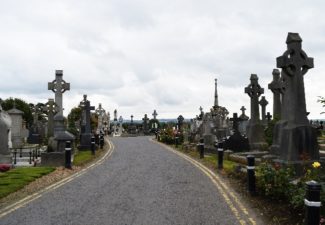 Diana Güiza_Columna_Irlanda