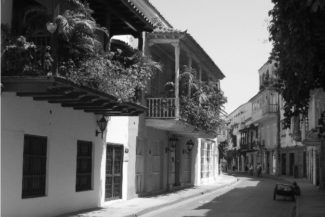 Irina_Columna_Elecciones