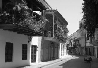 Irina_Columna_Elecciones