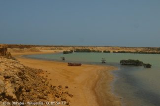 Irina-Junieles_Columna_Guajira
