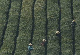 Irina Junieles_Columna_PDET