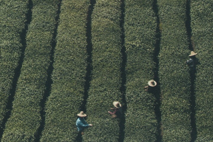 Irina Junieles_Columna_PDET