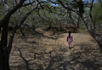 Sentencia Guajira derechos niños