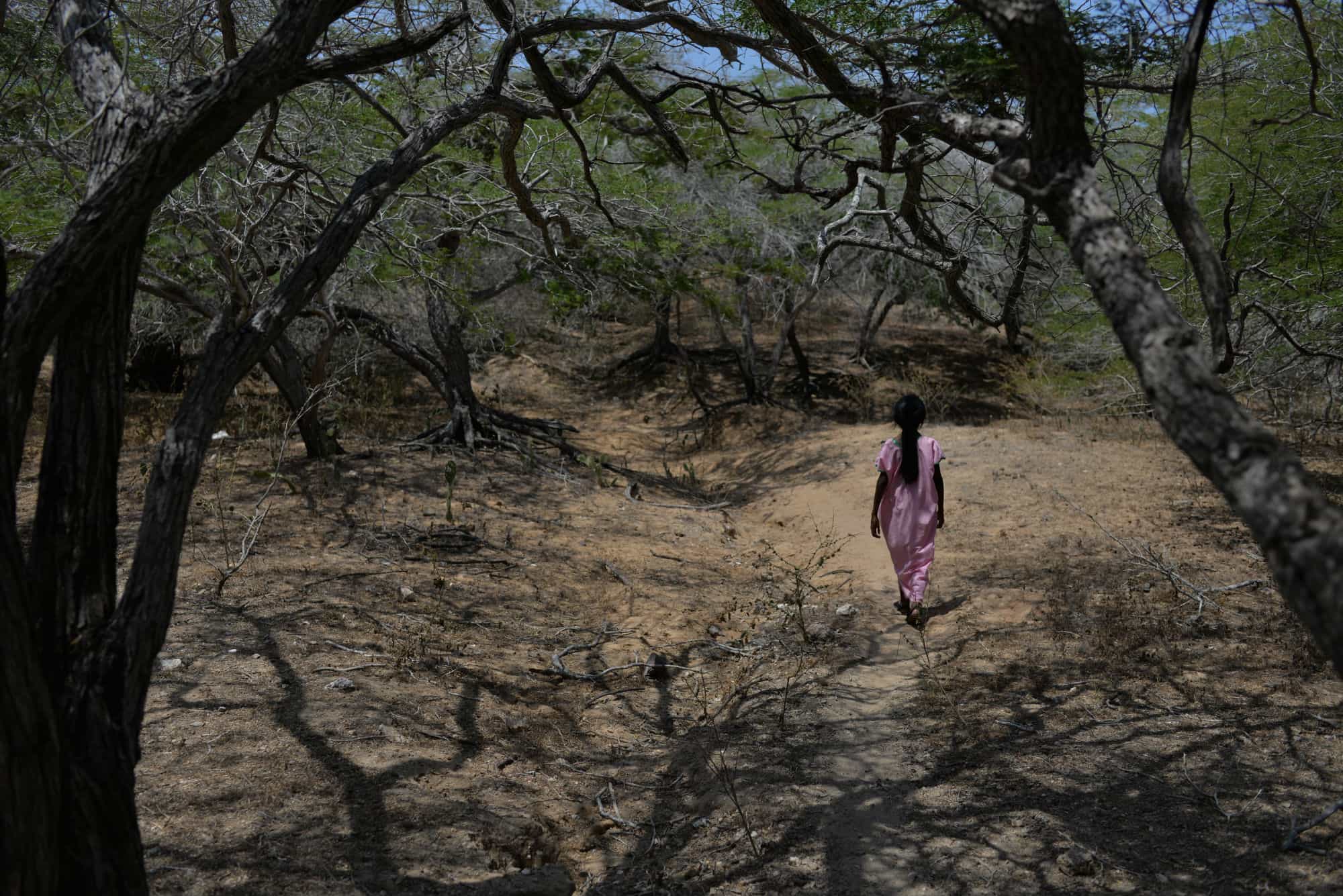 Sentencia Guajira derechos niños