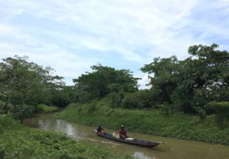 Irina_Columna_P. Santander