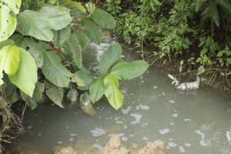 Tutela María La Baja