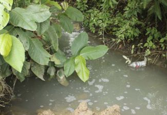 Tutela María La Baja