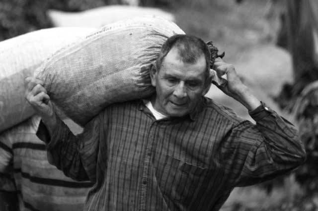 Campesino, campesinado, ONU