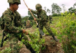 Drogas, Confedrogas, Colombia, América Latina