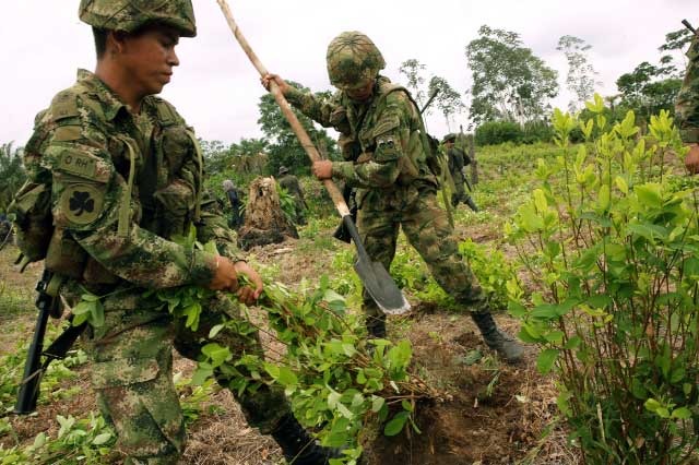 Drogas, Confedrogas, Colombia, América Latina
