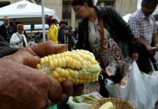 Declaración de los derechos de los campesinos