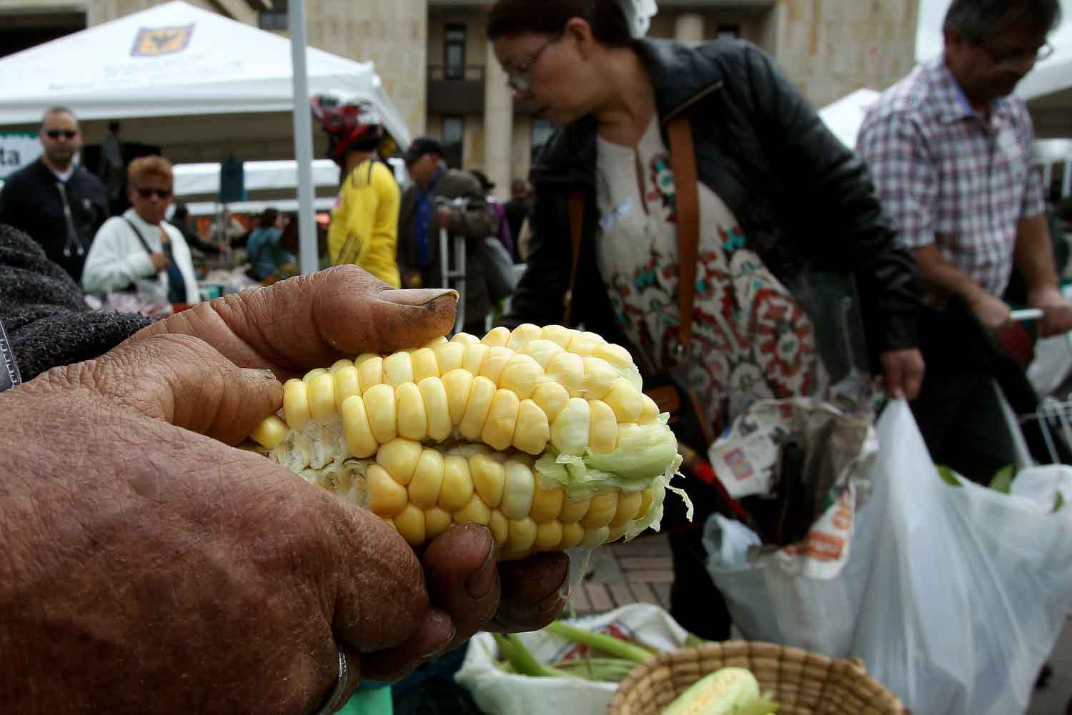 Declaración de los derechos de los campesinos