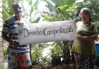 ONU, Campesinos, Colombia