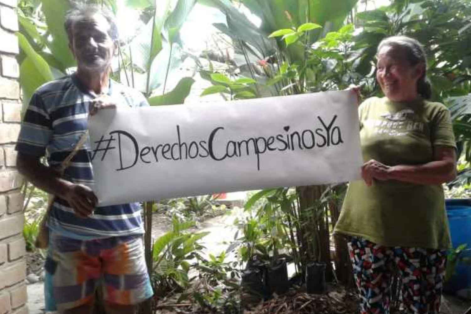 ONU, Campesinos, Colombia