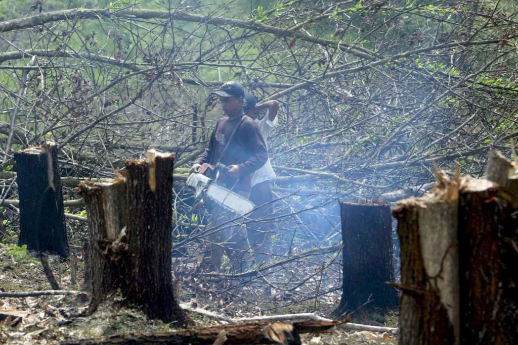 Deforestación, Colombia, Iván Duque
