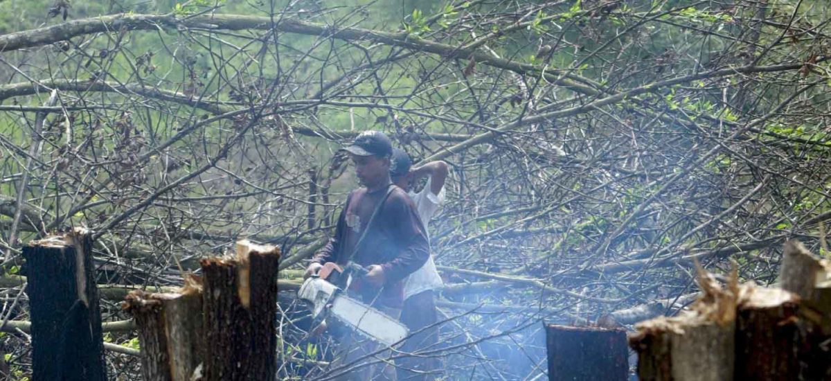 Deforestación, Colombia, Iván Duque