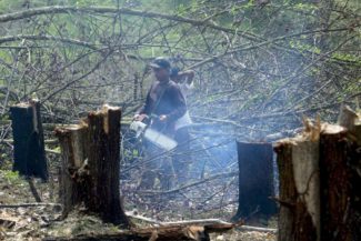 Deforestación, Colombia, Iván Duque