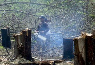 Deforestación, Colombia, Iván Duque