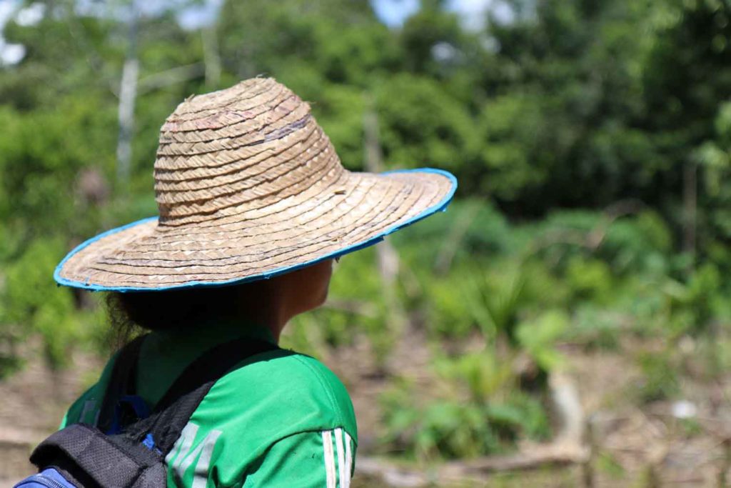 Acuerdo de Paz, Género