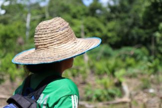 Acuerdo de Paz, Género