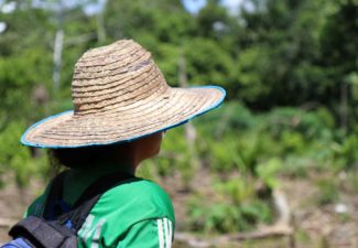 Acuerdo de Paz, Género
