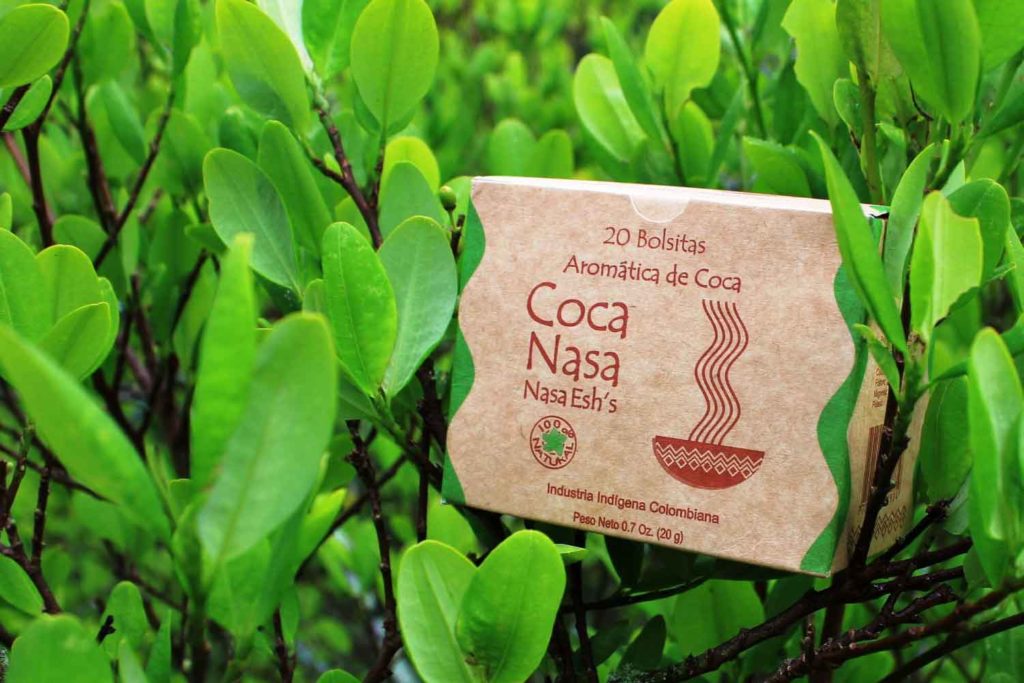 Coca nasa, Colombia, Corte Constitucional