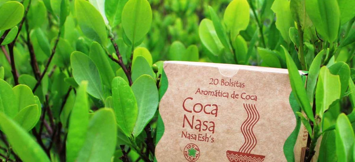 Coca nasa, Colombia, Corte Constitucional