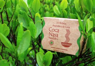 Coca nasa, Colombia, Corte Constitucional