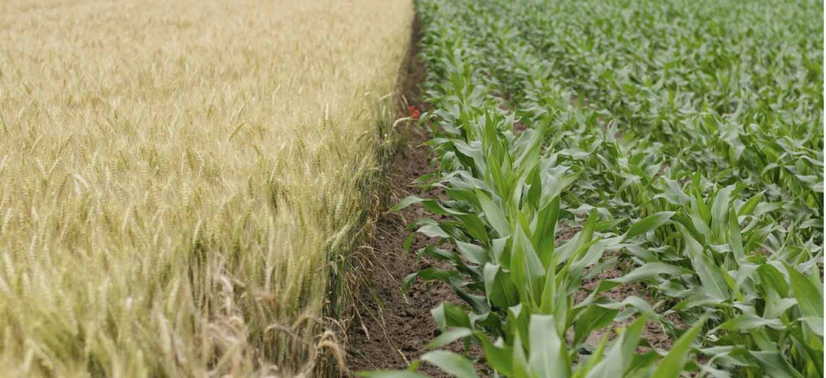 Reforma agraria, Colombia