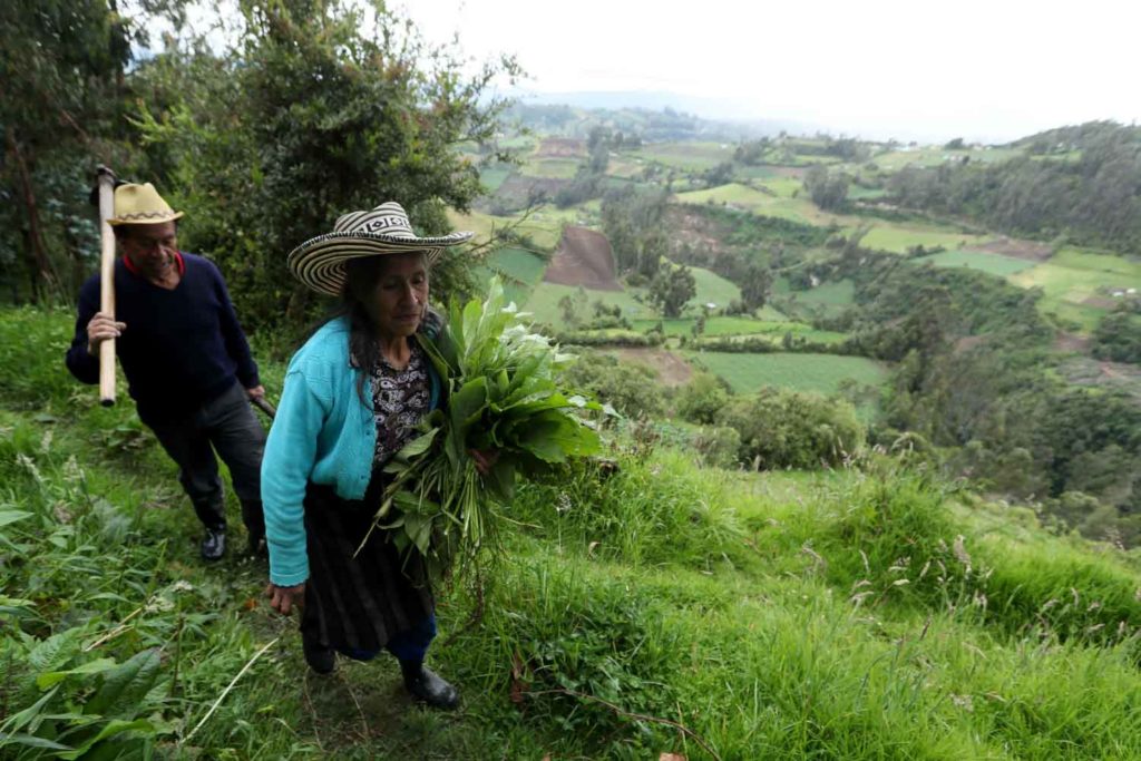 Paz territorial, Colombia