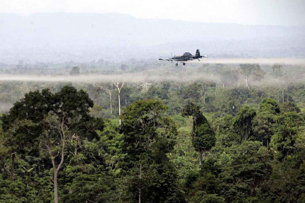 Glifosato, drogas, colombia