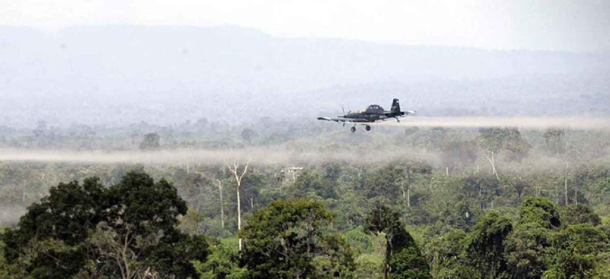 Glifosato, drogas, colombia
