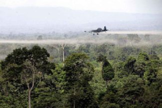 Glifosato, drogas, colombia