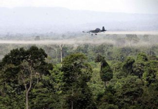 Glifosato, drogas, colombia