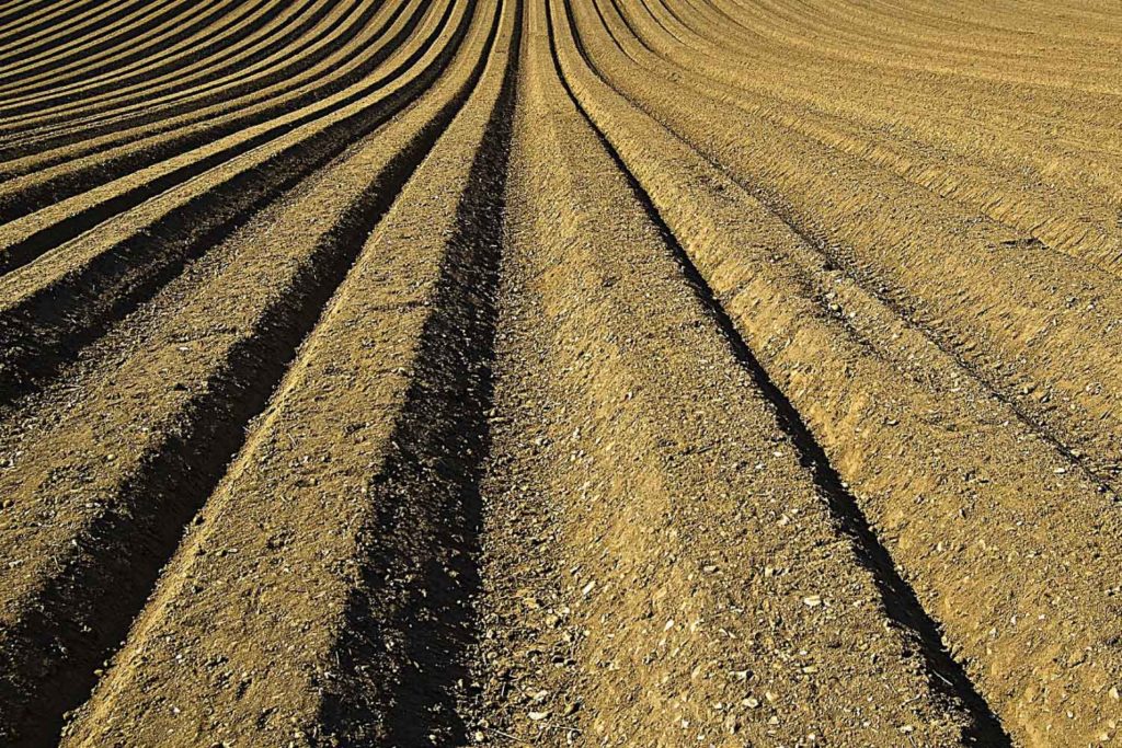 Campesino, tierra, Colombia