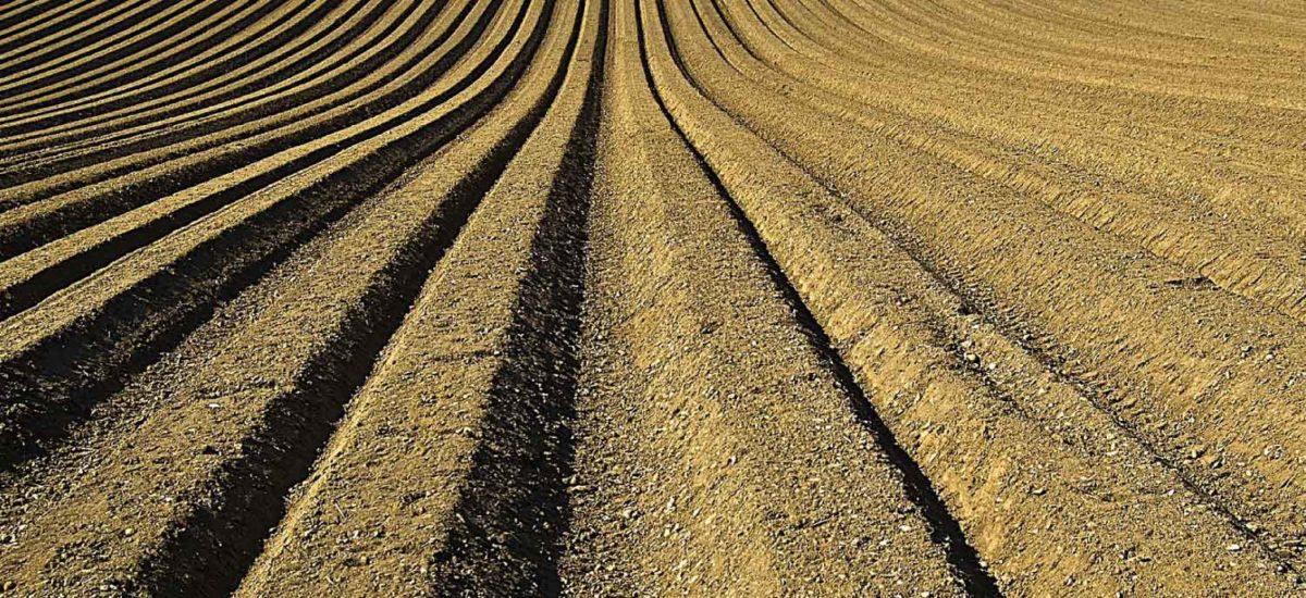 Campesino, tierra, Colombia