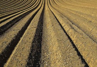 Campesino, tierra, Colombia