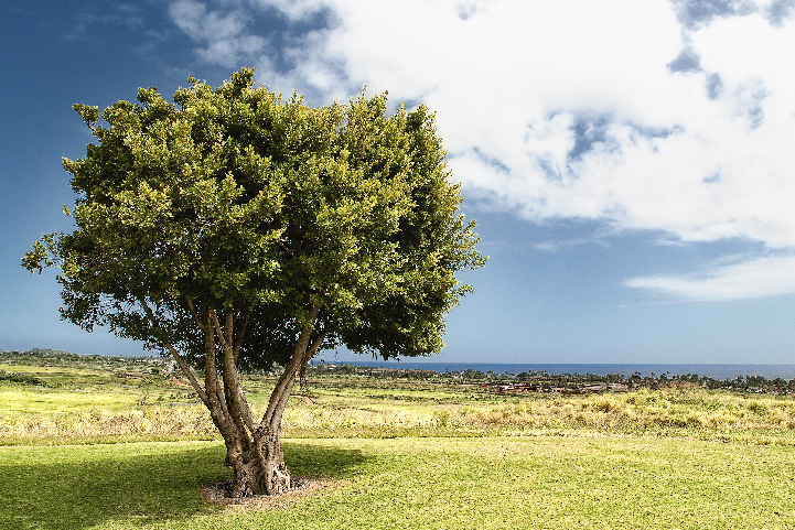 Argentina, Indígenas