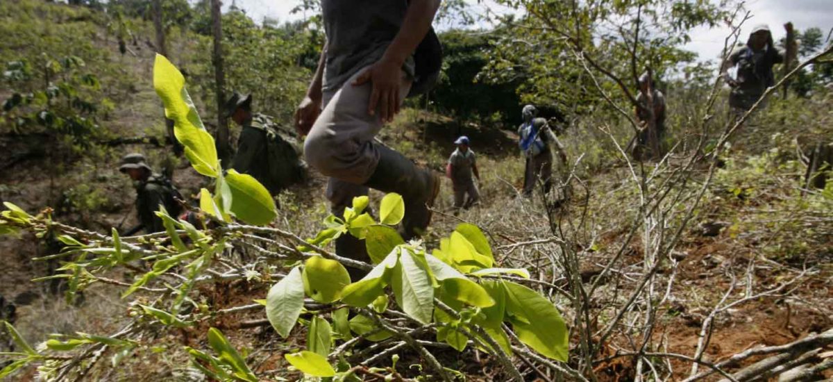 Drogas, Colombia
