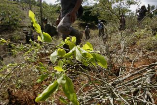Drogas, Colombia